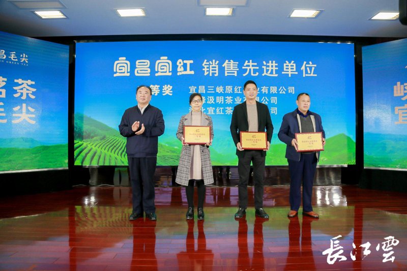 品牌全案策划引领企业营销新风尚