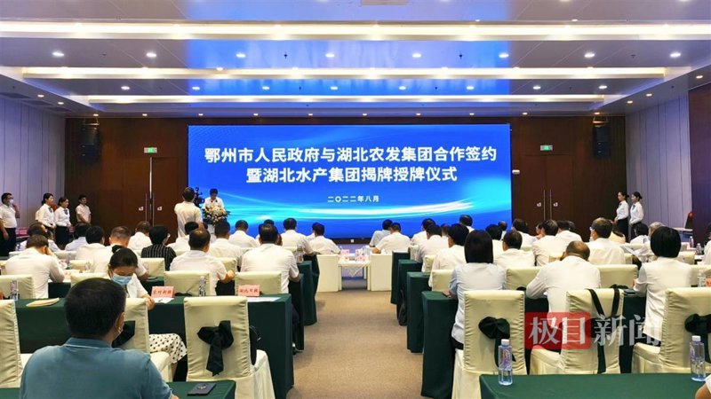 湖北品牌的成长之路：品牌管理如何助力企业腾飞